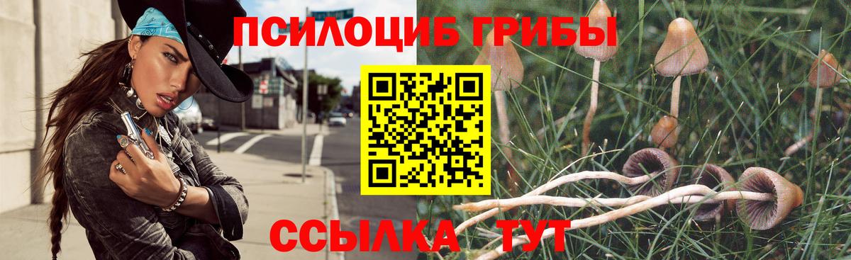 Галлюциногенные грибы ЛСД  Вход с VPN  Домодедово 